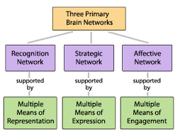 chart of the three fundamental principles of UDL